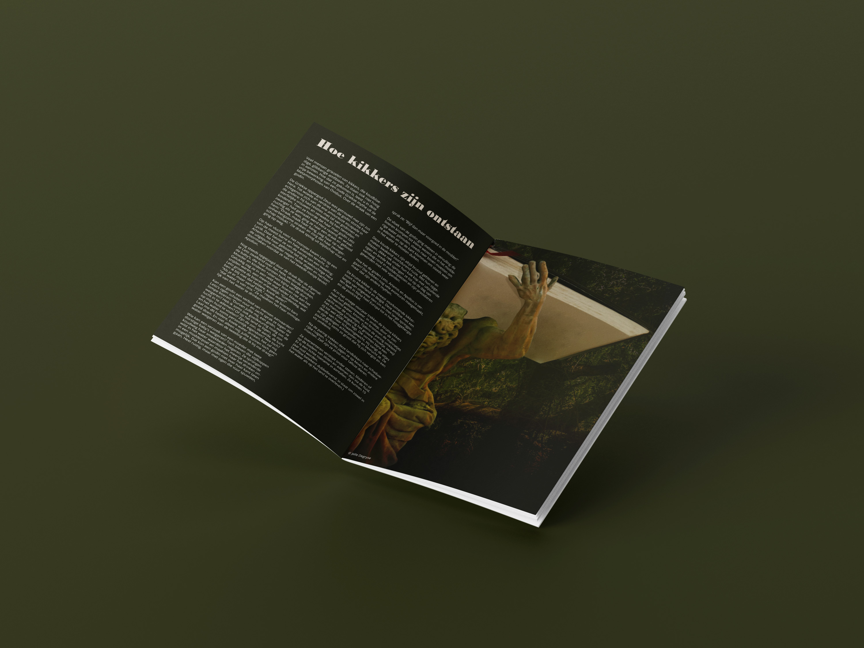 plot openbrochure